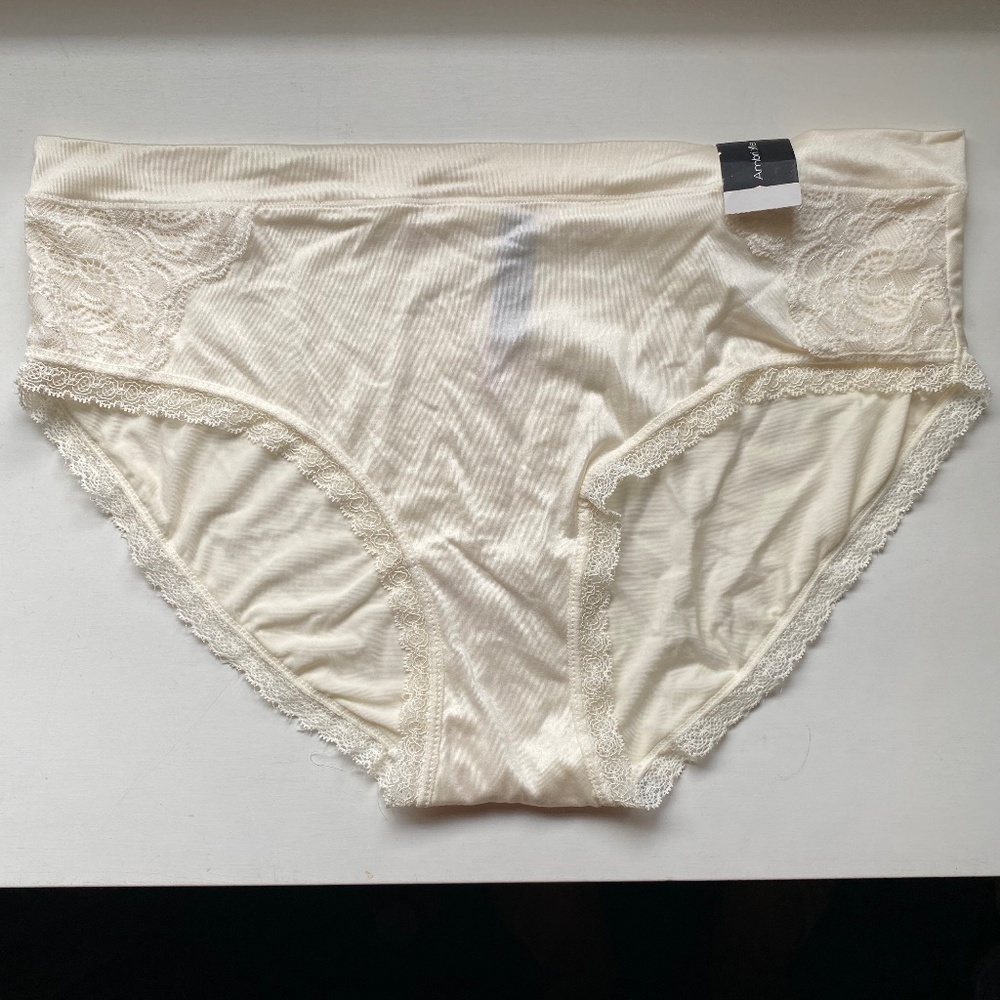 Ambrielle Nylon Panty NWT